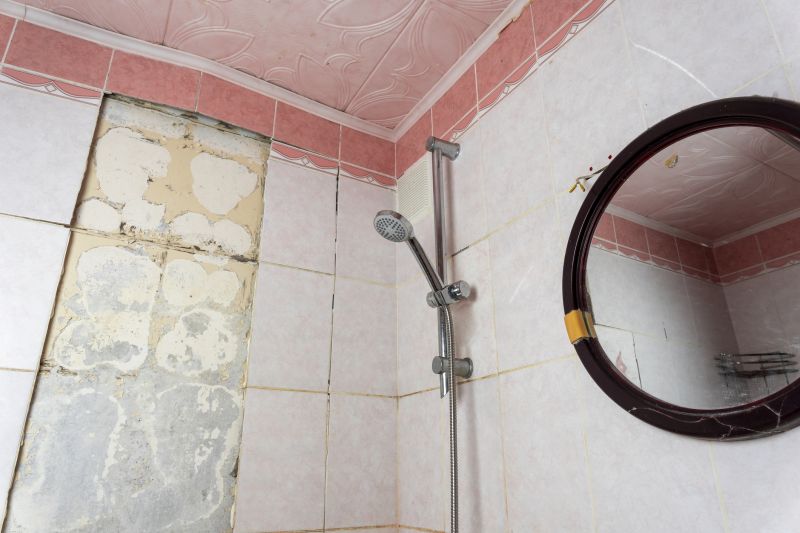 Bathroom Renovation Contractors